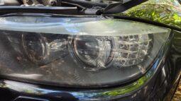 Bmw 320D Xdrive,2009, diesel tot ecranul