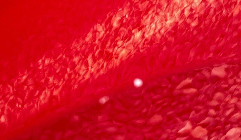 
								Opel Corsa 2021 1.5 diesel, km 126005 tot ecranul									